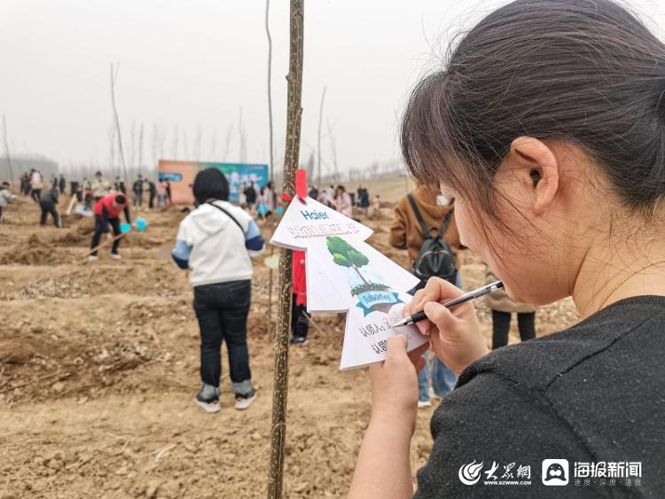 山东超百亩土地变大坑！“破坏耕地”还是“合理挖土”？